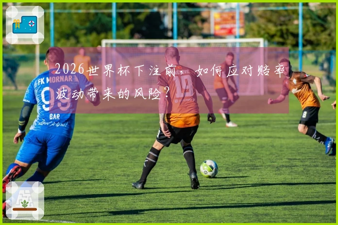 2026世界杯下注前，如何应对赔率波动带来的风险？