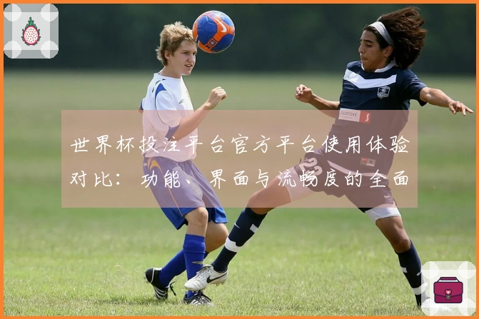 世界杯投注平台官方平台使用体验对比：功能、界面与流畅度的全面评测