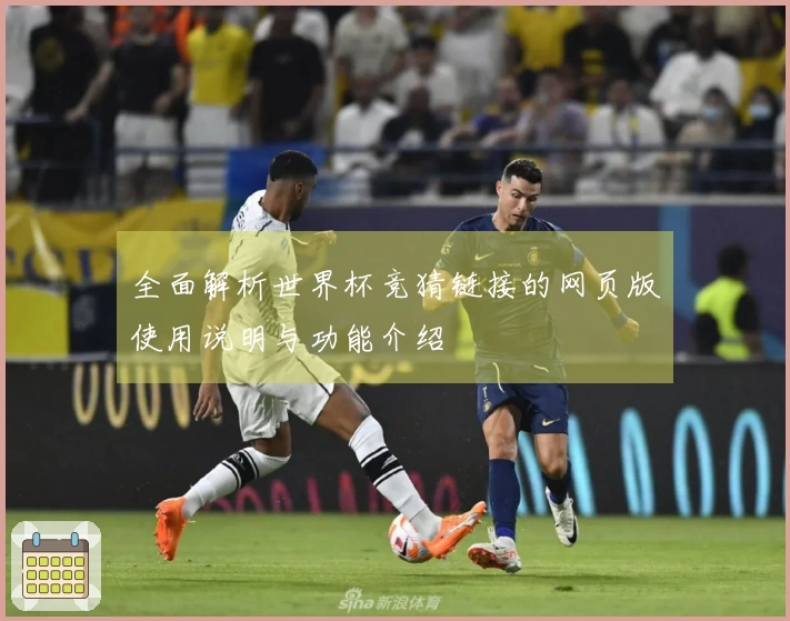 全面解析世界杯竞猜链接的网页版使用说明与功能介绍