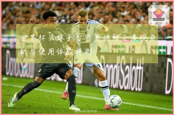 世界杯买球平台首页的综合表现分析与使用体验评测