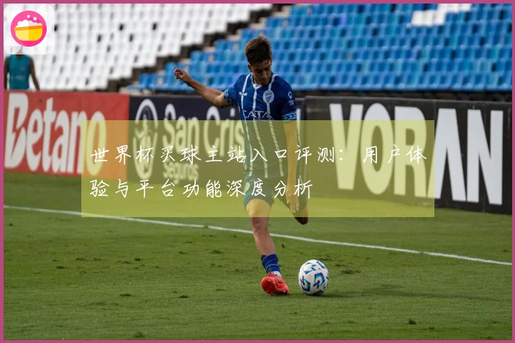 世界杯买球主站入口评测：用户体验与平台功能深度分析