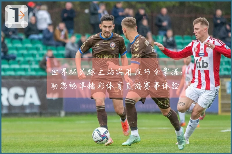 世界杯买球主站实用技巧全掌握，助您畅享精彩体育直播赛事体验