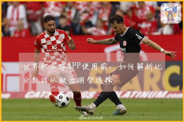 世界杯买球APP使用前,如何解析比分数据以做出明智选择