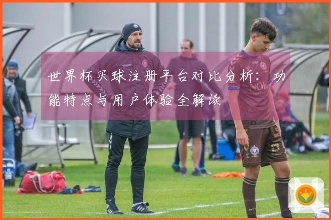 世界杯买球注册平台对比分析：功能特点与用户体验全解读