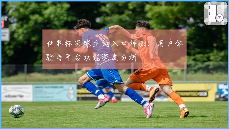 世界杯买球主站入口评测：用户体验与平台功能深度分析