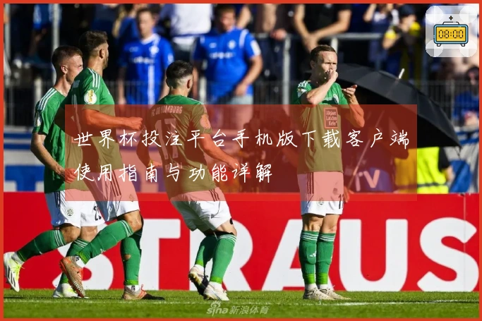 世界杯投注平台手机版下载客户端使用指南与功能详解