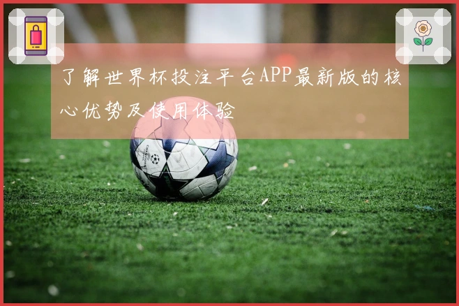 了解世界杯投注平台APP最新版的核心优势及使用体验