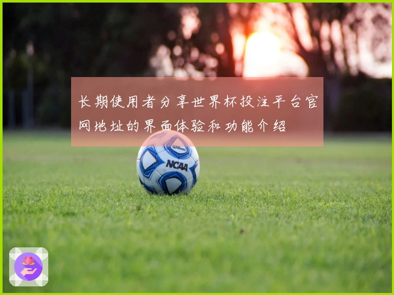 长期使用者分享世界杯投注平台官网地址的界面体验和功能介绍