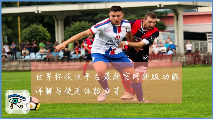 世界杯投注平台最新官网新版功能详解与使用体验分享