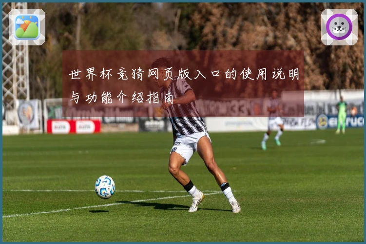 世界杯竞猜网页版入口的使用说明与功能介绍指南