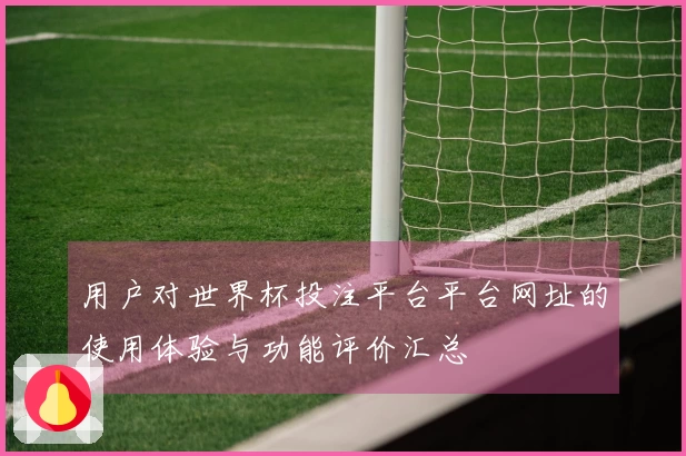 用户对世界杯投注平台平台网址的使用体验与功能评价汇总