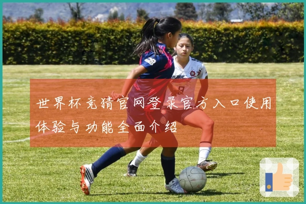 世界杯竞猜官网登录官方入口使用体验与功能全面介绍