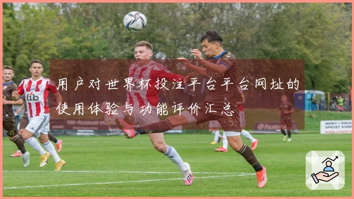 用户对世界杯投注平台平台网址的使用体验与功能评价汇总