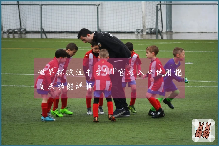 世界杯投注平台APP官方入口使用指南及功能详解