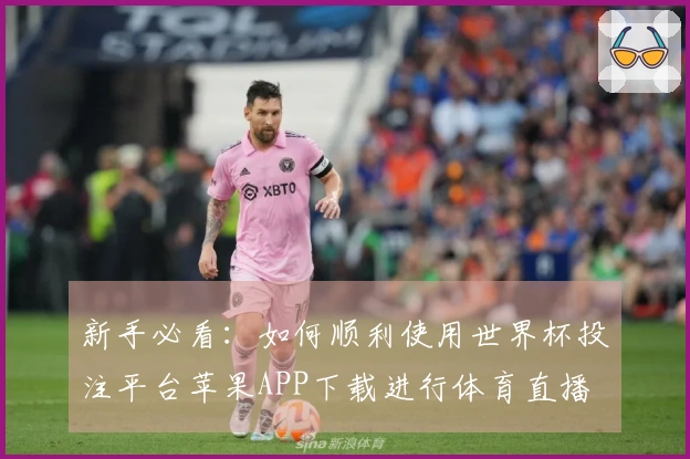 新手必看:如何顺利使用世界杯投注平台苹果APP下载进行体育直播