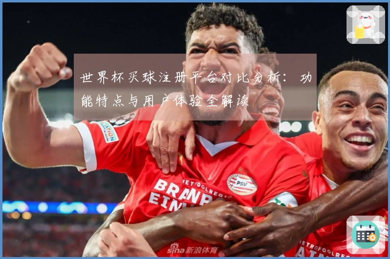 世界杯买球注册平台对比分析：功能特点与用户体验全解读